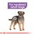 dry food for adult neutered dogs